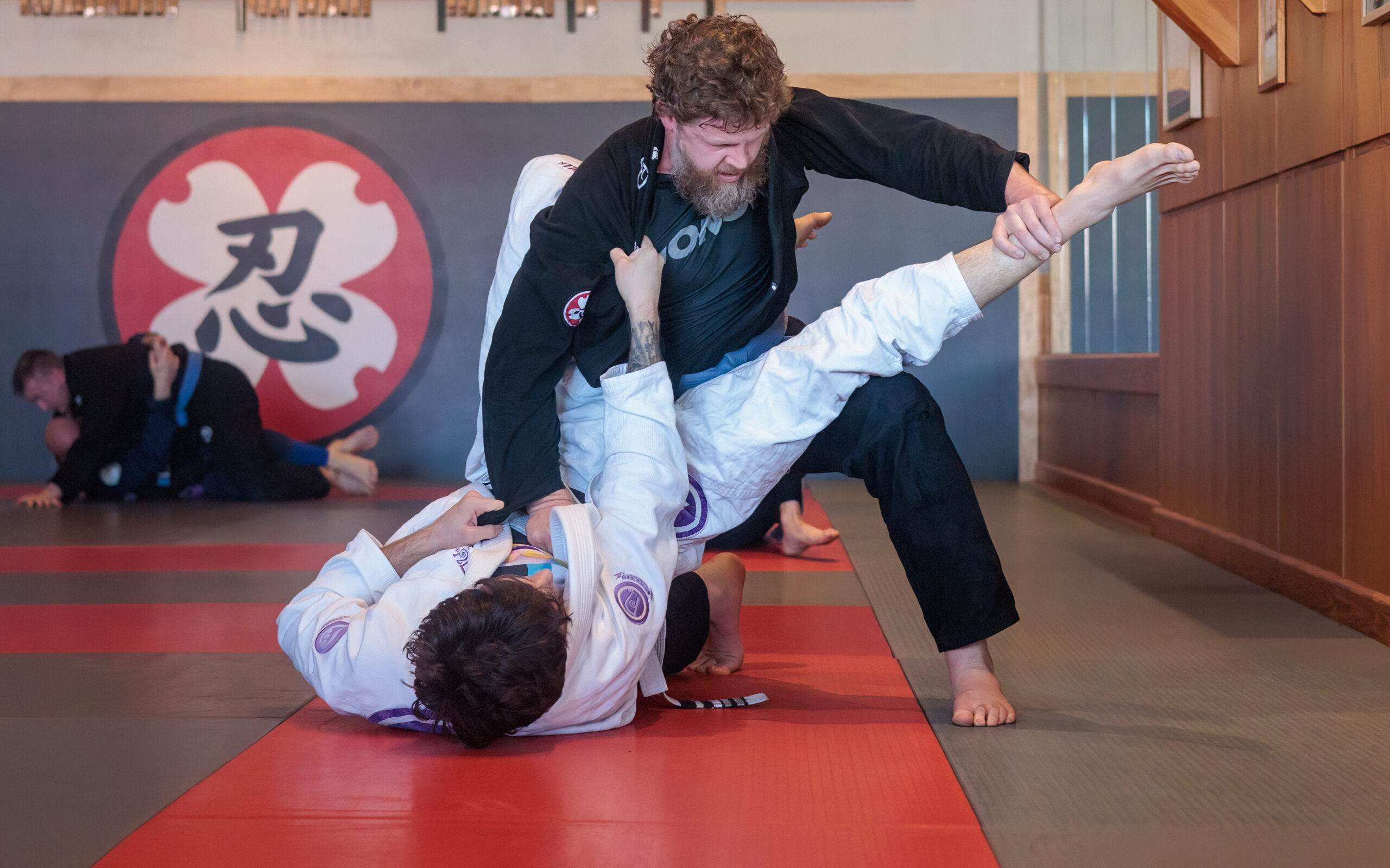 BJJ Throw down-4472-